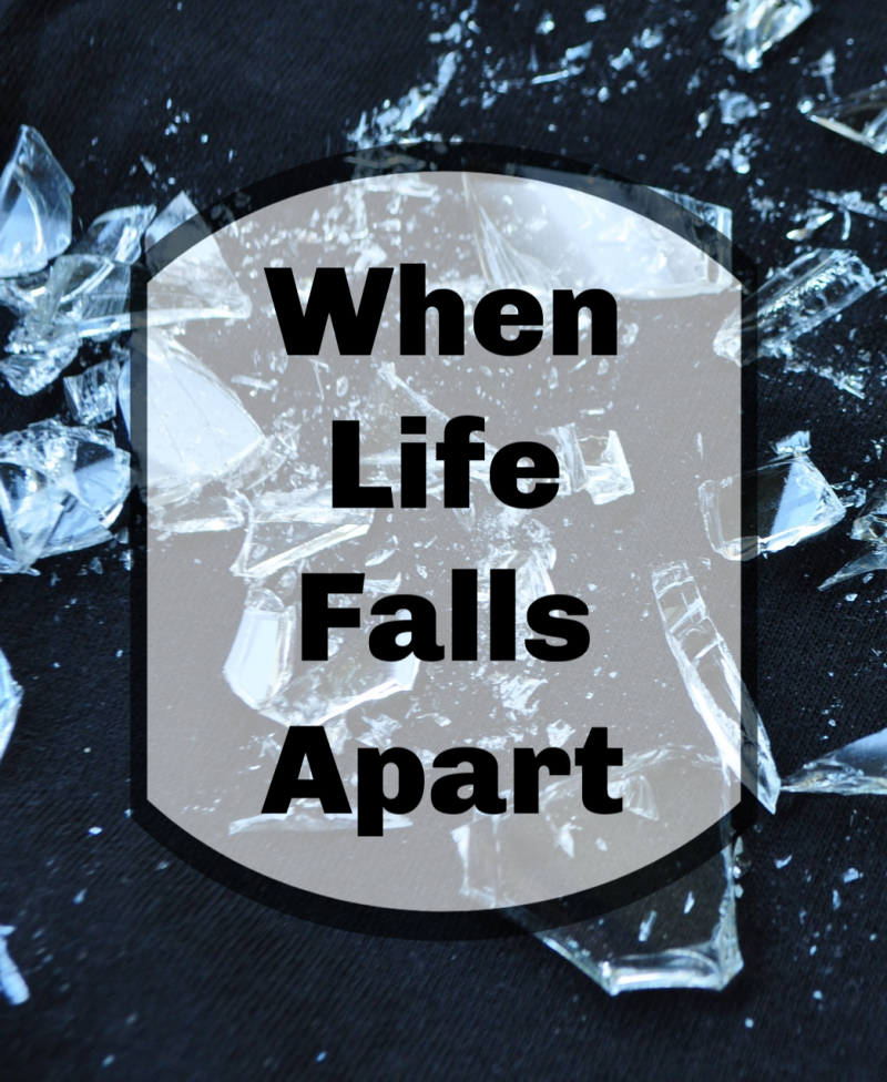 when-life-falls-apart-mental-magnolia