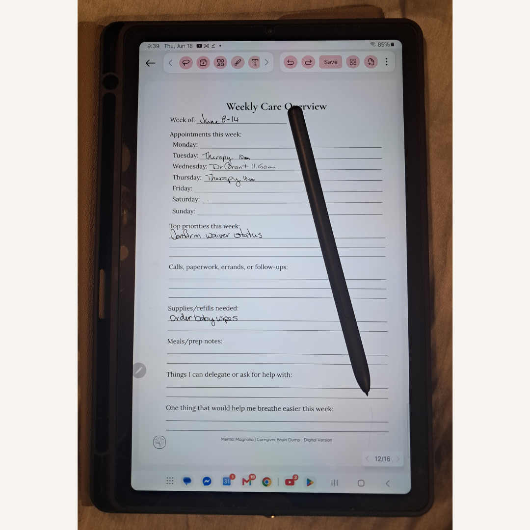 Penly Friendly Digital Caregiver Brain Dump